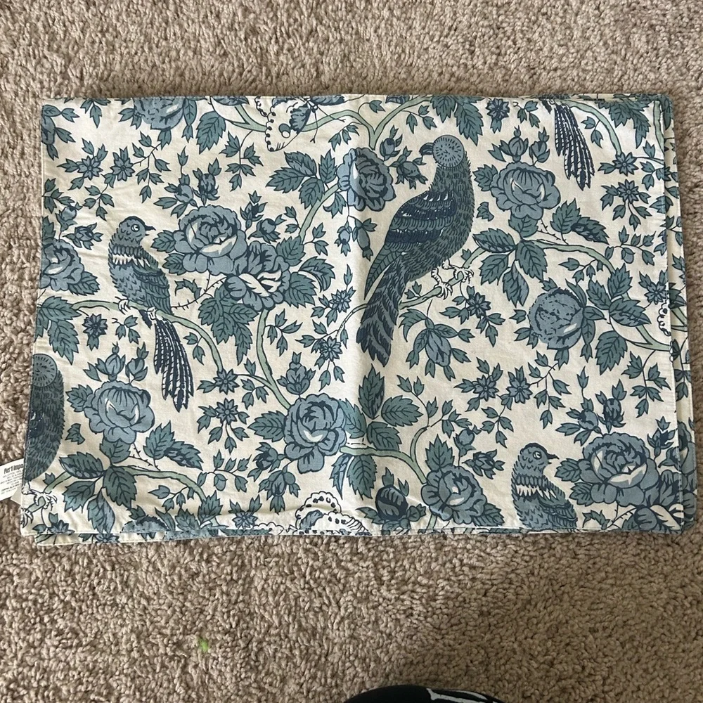 Pier 1 Chirping Blue Bird Placemat Set of 4